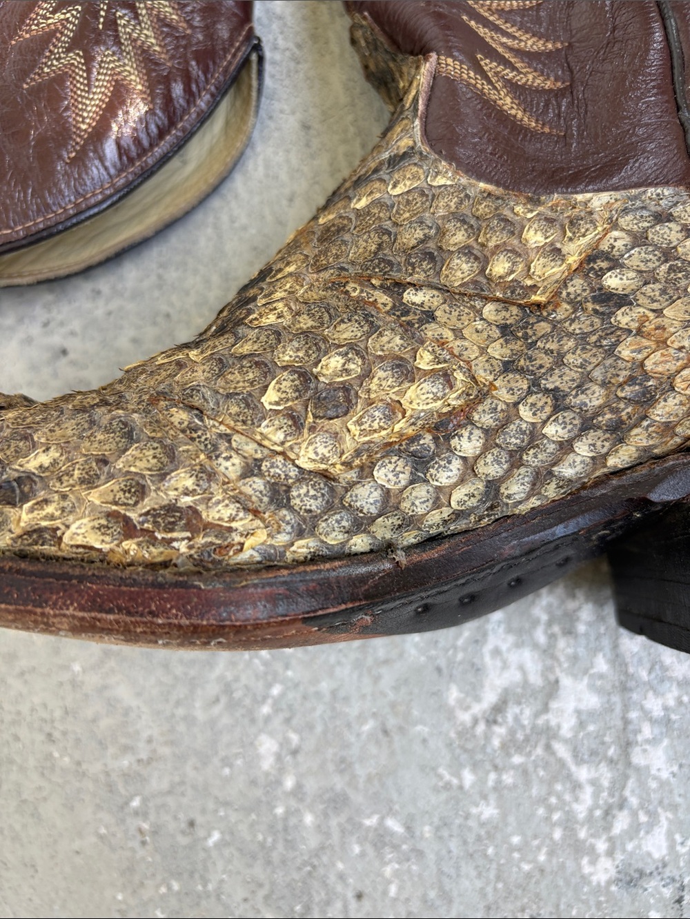 Dan post python cowboy boots - Picture 5 of 12